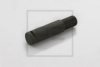 PE Automotive 013.163-00A Bolt